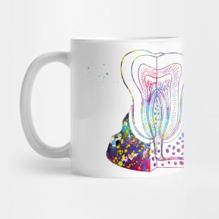 Tooth anatomy Mug